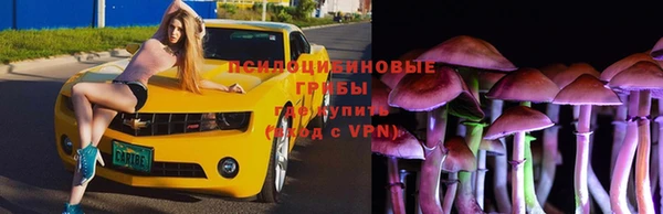 винт Богданович
