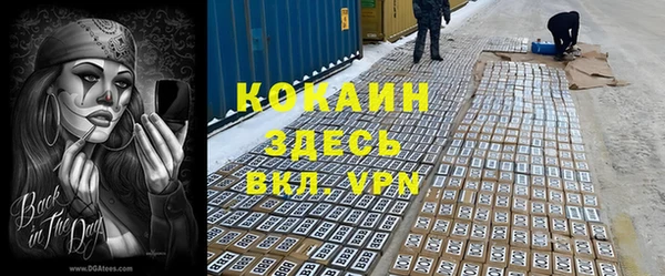 таблы Богородицк