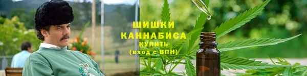 таблы Богородицк