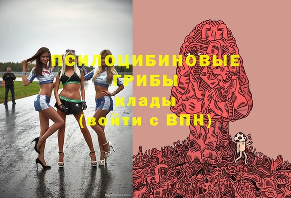 таблы Богородицк