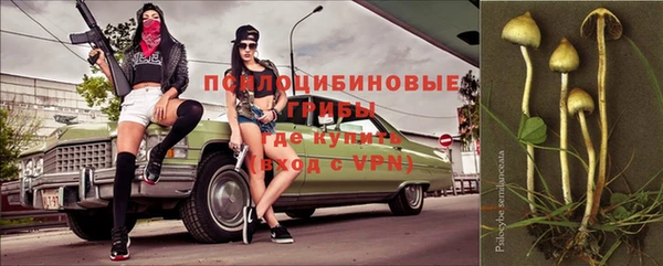 винт Богданович