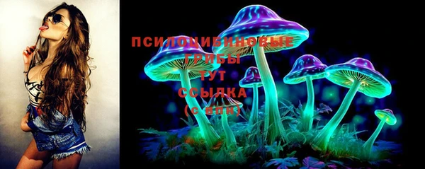 винт Богданович